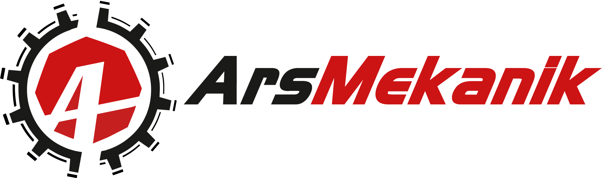 Başlıca Taahhüt Konularımız